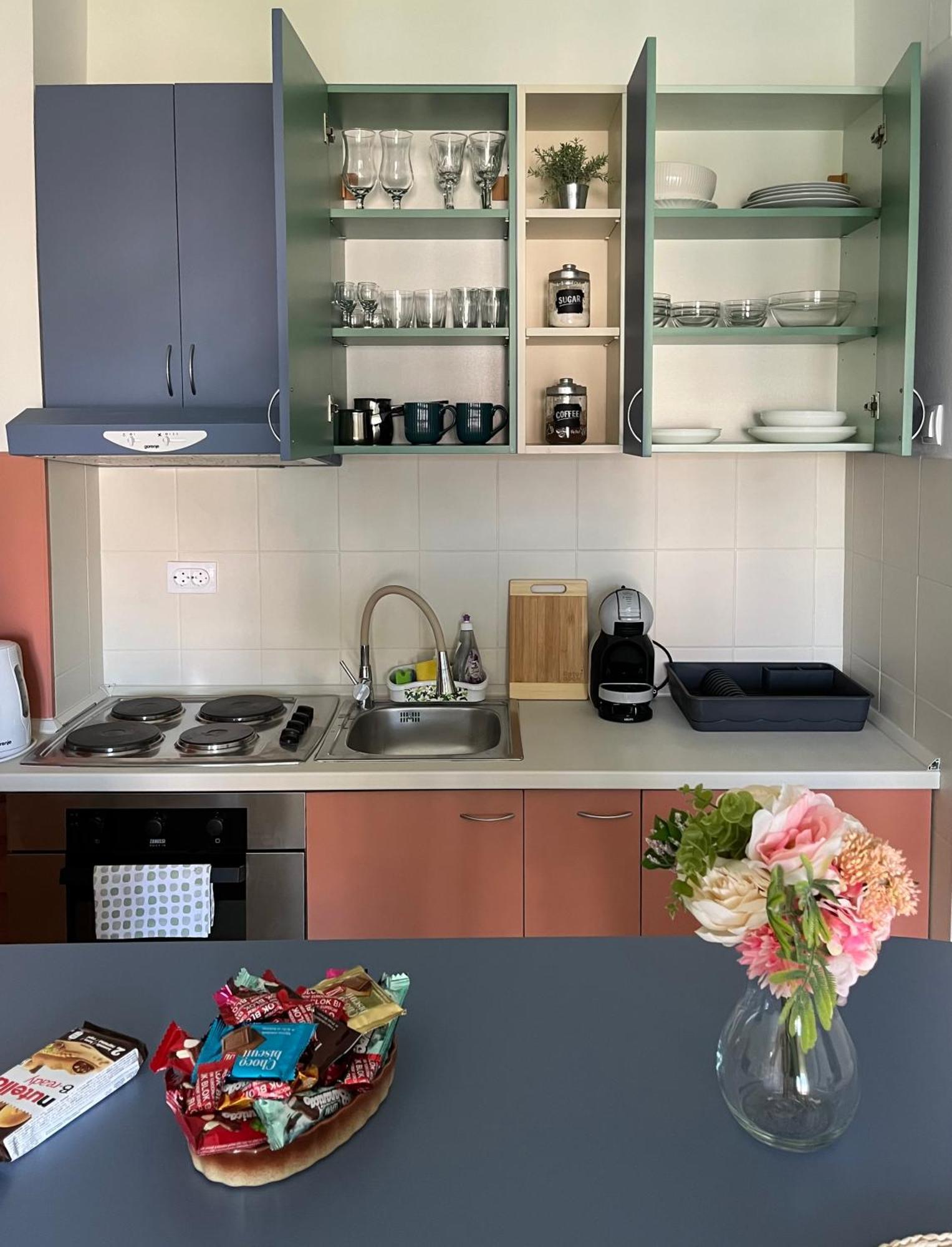 Apartment Vera With Free Garage 노비사드 외부 사진