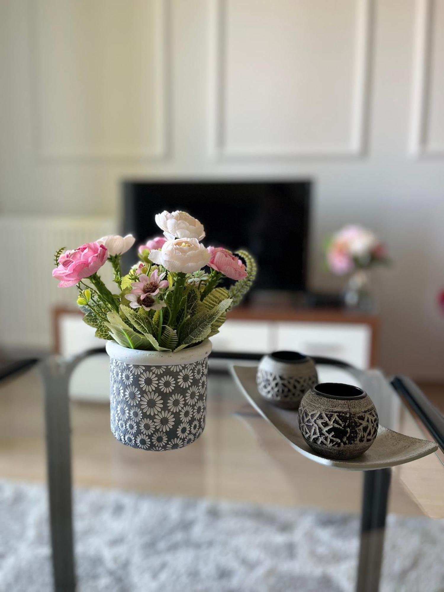 Apartment Vera With Free Garage 노비사드 외부 사진